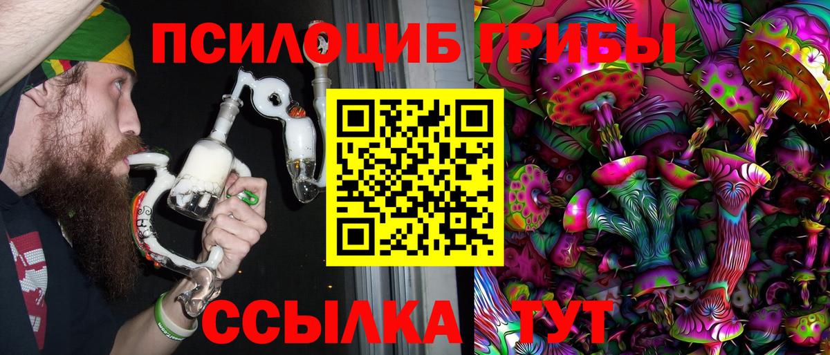 Звенигород  где найти   Псилоцибиновые грибы MAGIC MUSHROOMS  Вход с VPN  Галлюциногенные грибы прущие грибы 